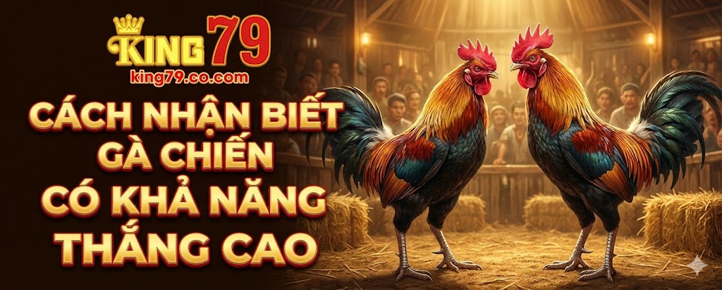 Cách nhận biết gà chiến có khả năng thắng cao của sư kê 2 cach-nhan-biet-ga-chien-co-kha-nang-thang-cao