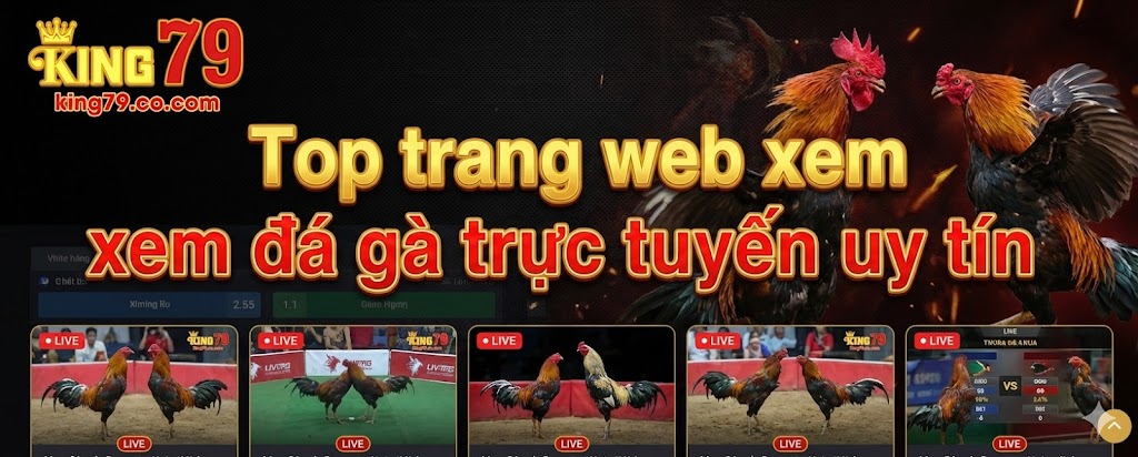 Top trang web xem đá gà trực tuyến uy tín từ chuyên gia 7 top-trang-web-xem-da-ga-truc-tuyen-uy-tin